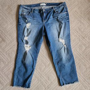 Torrid Boyfriend Jeans Size 22